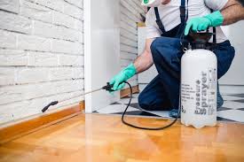 Real Estate Pest Inspections in Sparks, TX